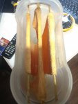 IMG_20190217_210930.jpg