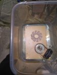 IMG_20190227_203036.jpg