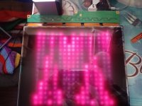 IMG_20201208_130824_0.jpg