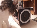 20190606_224629.jpg