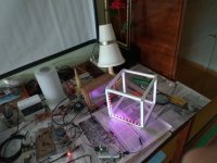 IMG_20210430_101734.jpg