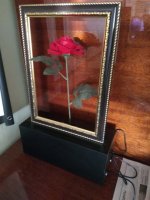 IMG_20210713_203455.jpg