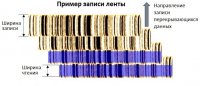 лента.jpg