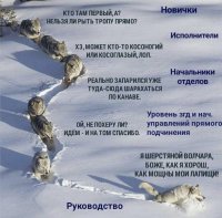 я 1.jpg