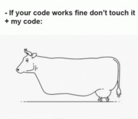 do-not-touch-it-programmer.gif