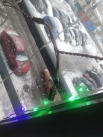 IMG_20231217_153638.jpg
