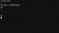 p.png