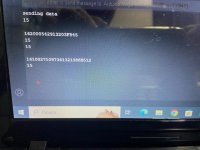 Изображение WhatsApp 2024-08-31 в 15.57.09_3df17e05.jpg