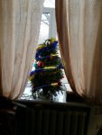 IMG_20191231_142409.jpg