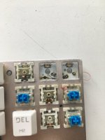 769FC2DE-F874-483B-BC44-648852AC7966.jpeg
