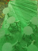 IMG_20260713_095622.jpg
