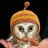 CloudOwl