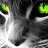 Andrii_vol